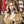 Load image into Gallery viewer, Beeos 13x4 Full Frontal SKINLIKE Real HD Lace Wig Ombre Color Body Wave Natural Hairline ZH06