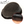 Load image into Gallery viewer, 8*10 Q6 Swiss Lace Toupee 100% Human Hair Invisible Knots Natural Hairline Men's Hair Pieces TP10